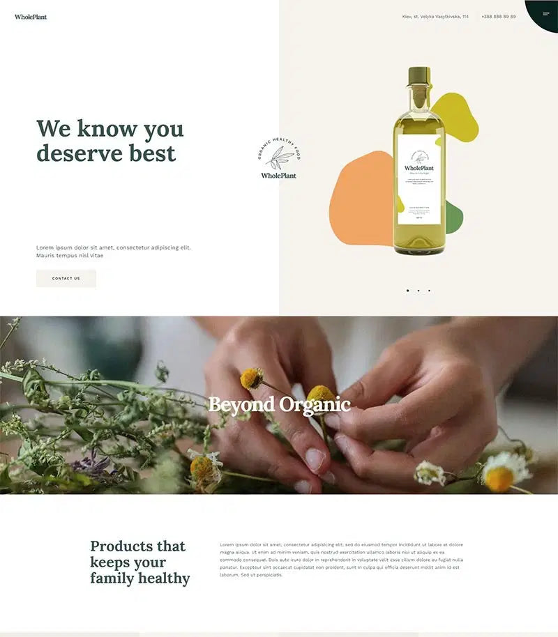 QI055 Organic Food Shop