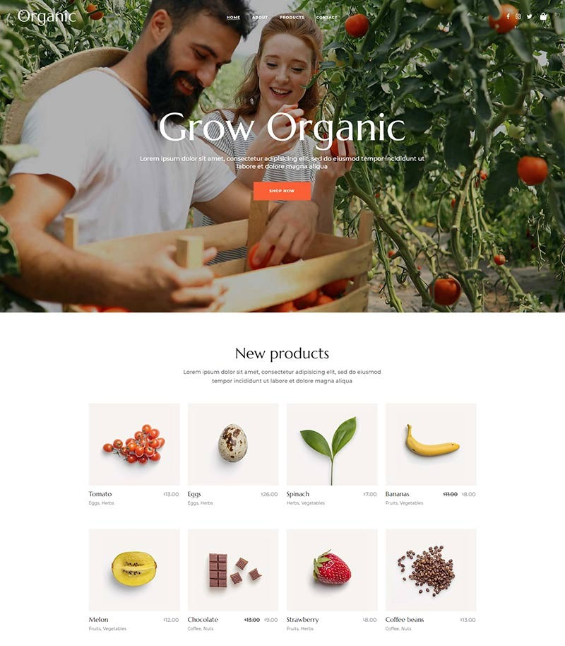 QI132 Organic Food